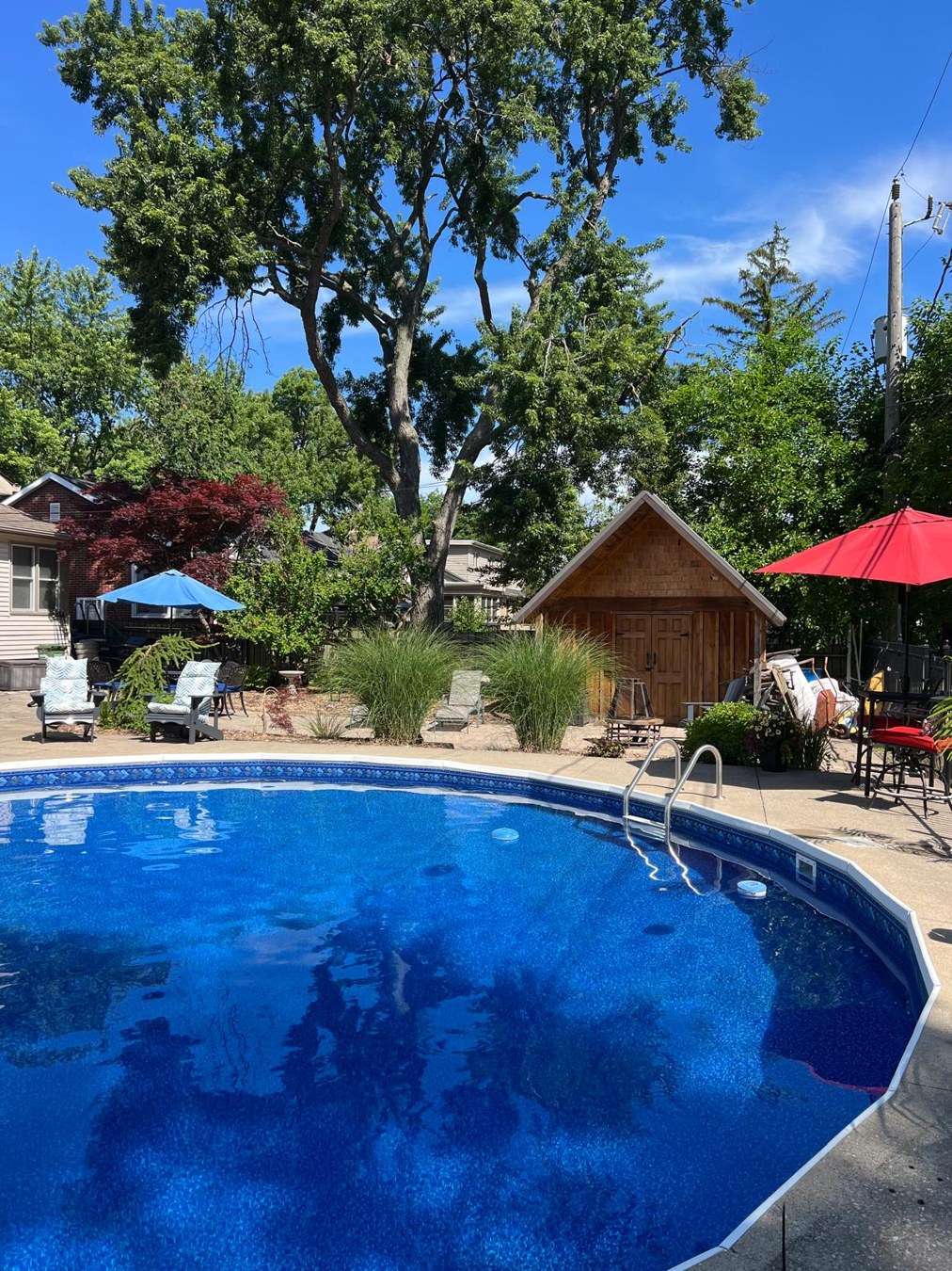 Inground pool and backyard